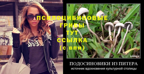 Альфа ПВП Майский