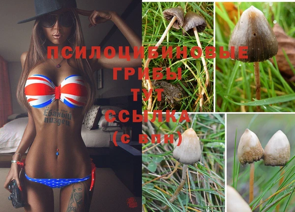 COCAINE Магас