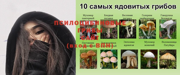 ALPHA PVP Сосновоборск