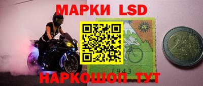 шишки Абакан