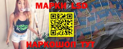 шишки Абакан
