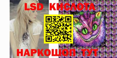 шишки Абакан