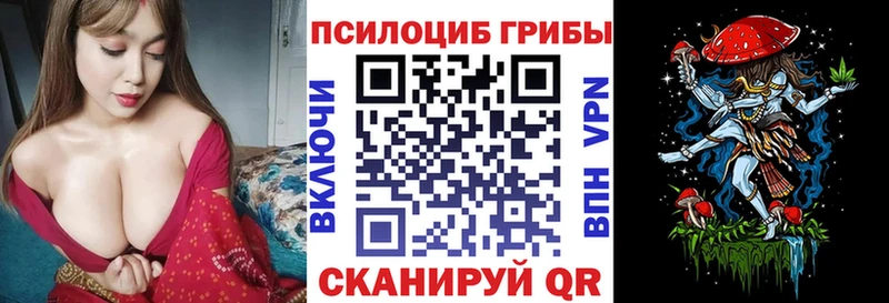 Галлюциногенные грибы Psilocybine cubensis  хочу   Петровск 