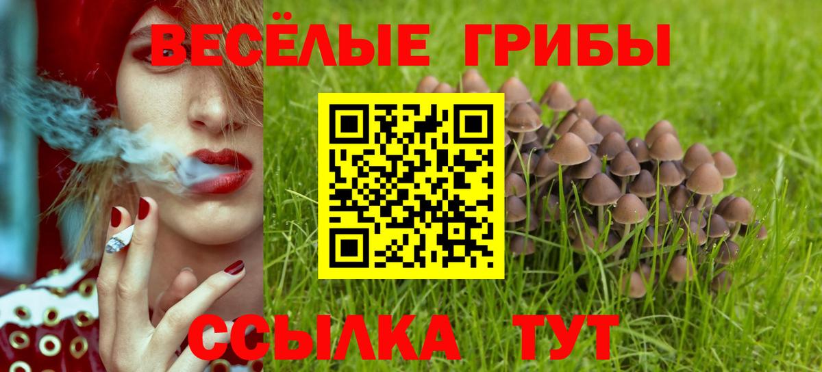 Псилоцибиновые грибы GOLDEN TEACHER Петровск