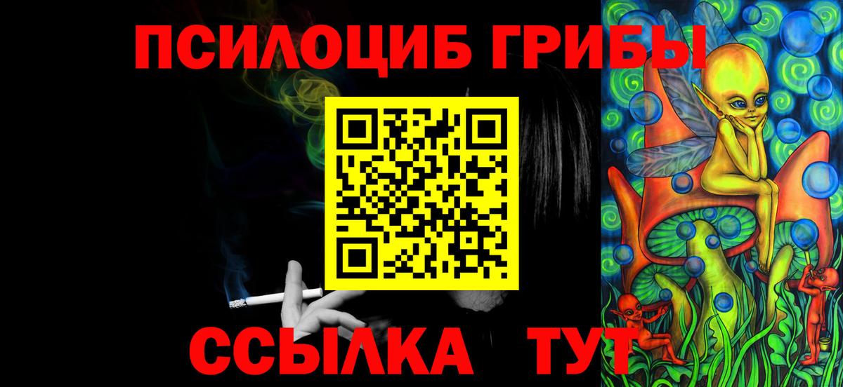 Галлюциногенные грибы Psilocybine cubensis Петровск