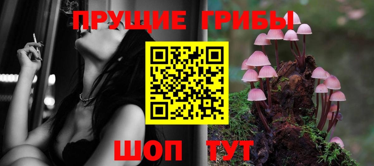 Петровск  где можно купить   Вход с VPN  Галлюциногенные грибы Psilocybine cubensis 